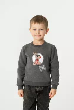 Світшот утеплений темно-сірий з принтом Олень YI.12.09.007 Світшот утеплений темно-сірий з принтом Олень YI.12.09.007