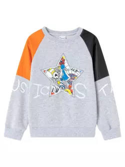 Світшот утеплений з малюнком та вишивкою, сірий YU.12.09.002 Світшот утеплений з малюнком та вишивкою, сірий YU.12.09.002