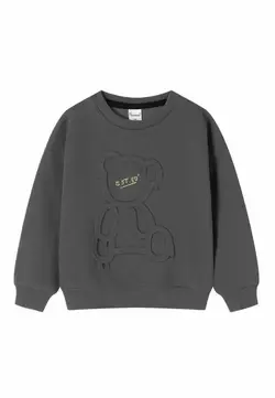 Світшот з ведмедиком утеплений, темно-сірий YU.12.09.001 Світшот з ведмедиком утеплений, темно-сірий YU.12.09.001