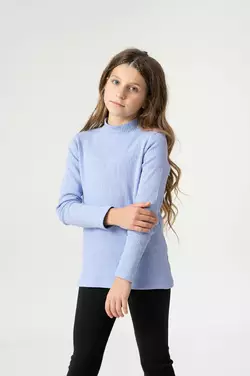 Базовий гольф бузковий комір-стійка YM.21.05.001 Базовий гольф бузковий комір-стійка YM.21.05.001