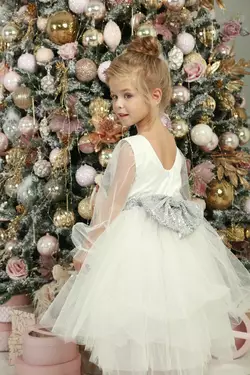 Плаття нарядне пишне з срібним бантом YG.21.30.006 Плаття нарядне пишне з срібним бантом YG.21.30.006