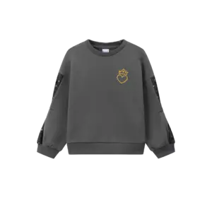 Світшот утеплений зі вставками на рукавах, темно-сірий YU.22.09.004 Світшот утеплений зі вставками на рукавах, темно-сірий YU.22.09.004