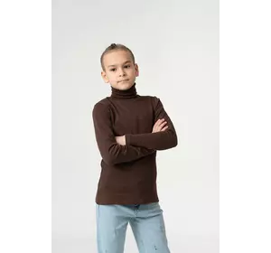 Гольф шоколадного кольору YM.01.05.002 Гольф шоколадного кольору YM.01.05.002