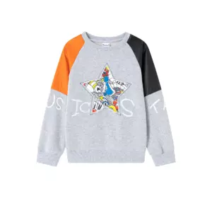 Світшот утеплений з малюнком та вишивкою, сірий YU.12.09.002 Світшот утеплений з малюнком та вишивкою, сірий YU.12.09.002