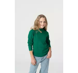 Светр однотонний зелений YM.22.09.006 Светр однотонний зелений YM.22.09.006