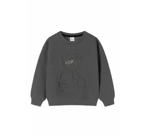 Світшот з ведмедиком утеплений, темно-сірий YU.12.09.001 Світшот з ведмедиком утеплений, темно-сірий YU.12.09.001