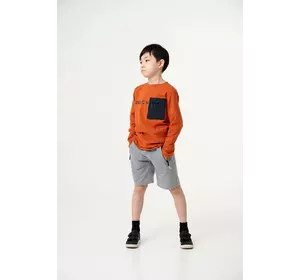 Шорти сірі з салатовою блискавкою для хлопчика YS.11.21.002 Шорти сірі з салатовою блискавкою для хлопчика YS.11.21.002