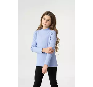 Базовий гольф бузковий комір-стійка YM.21.05.001 Базовий гольф бузковий комір-стійка YM.21.05.001